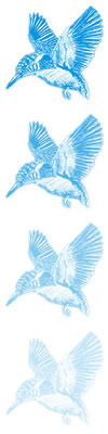 Kingfisher Environmental